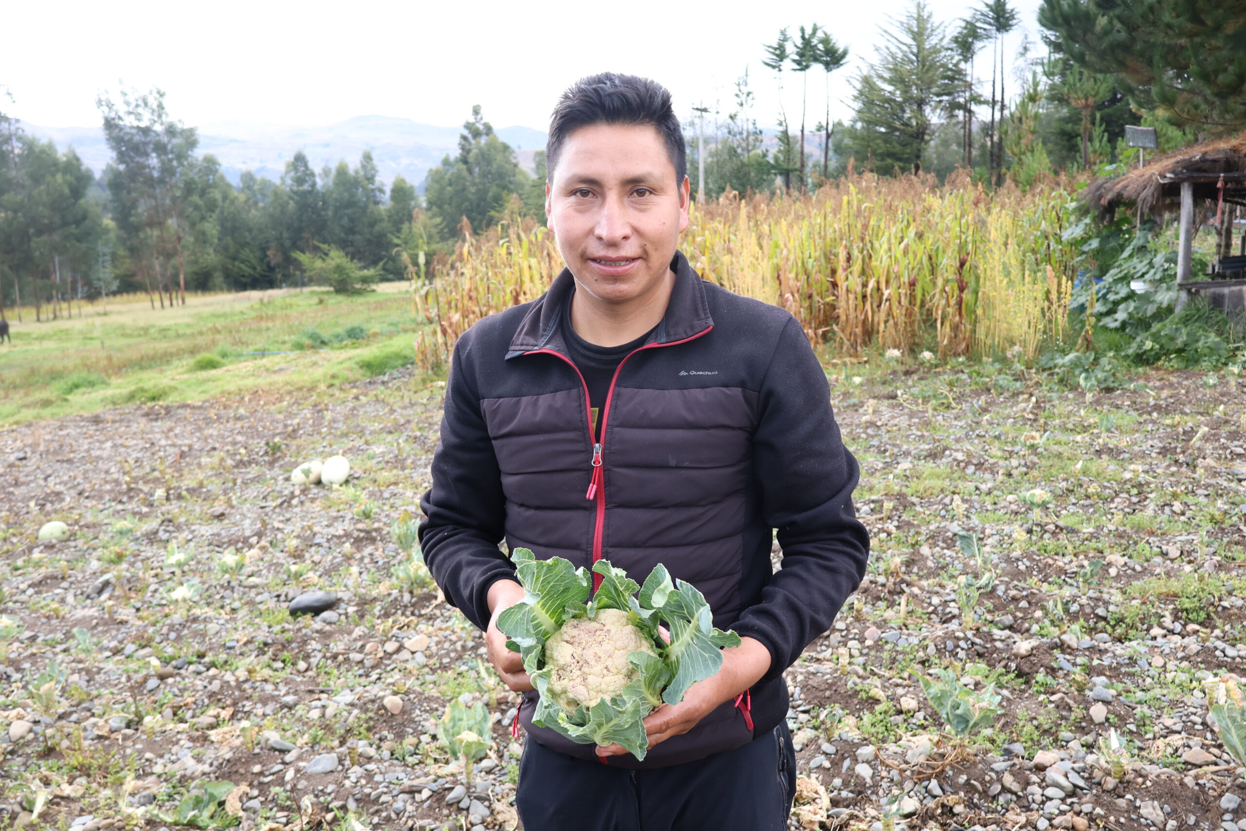 Producción orgánica, asociatividad y nuevas técnicas para alimentos saludables
