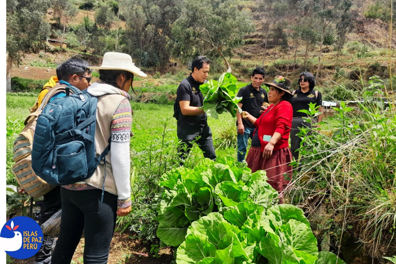 La Ola Verde que Impulsa el Consumo Sostenible: Crecimiento Global y Local de los Productos Agroecológicos
