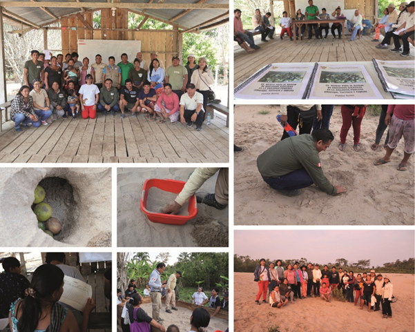 Derecho a una alimentación nutritiva en la Amazonía peruana