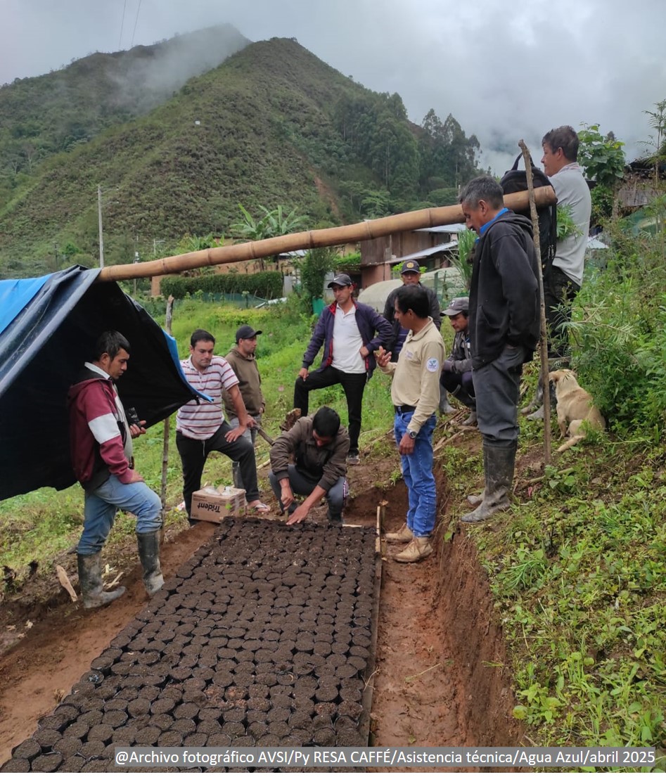 Caficultura sostenible e inclusiva: Fundación Lavazza y AVSI contribuyen a la transformación de la cadena del café en Perú