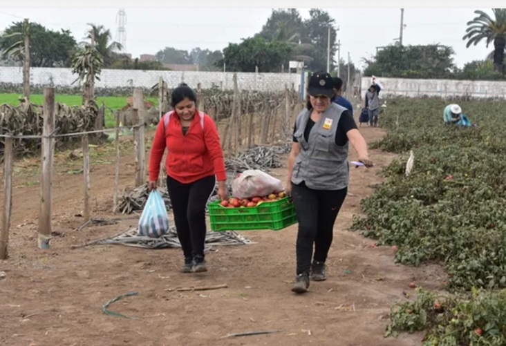 Brigadas de ollas comunes recuperan más de 2 toneladas de alimentos en un solo día