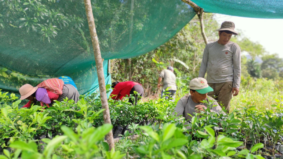 Comunicado de prensa: El Programa ConBosque busca proteger la Amazonía colombo-peruana de la mano con comunidades rurales e indígenas