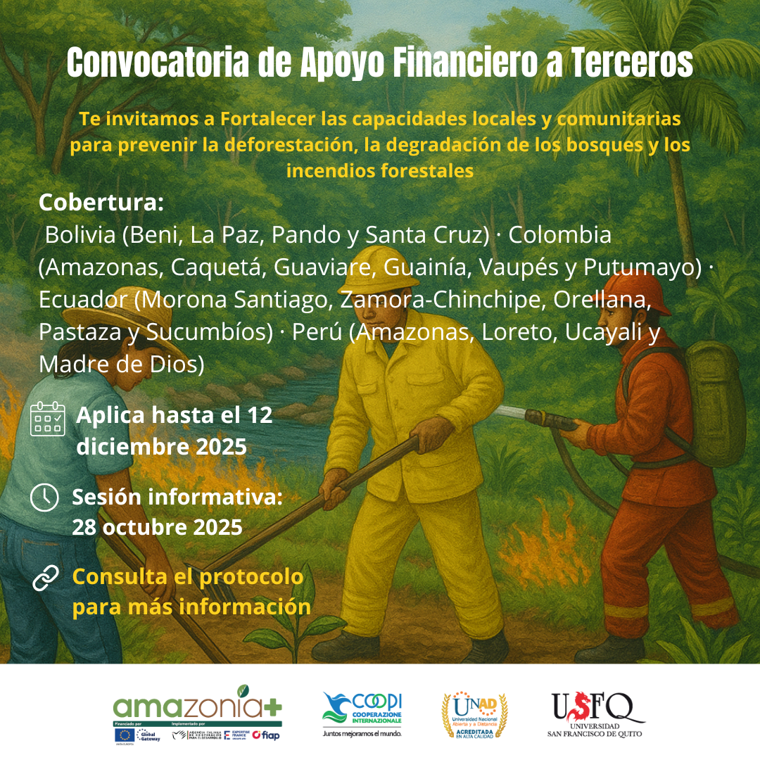 Publicación Acta de preguntas y respuestas al proceso de Apoyo Financiero a Terceros. Colombia, Bolivia, Perú y Ecuador. Programa Amazonia +