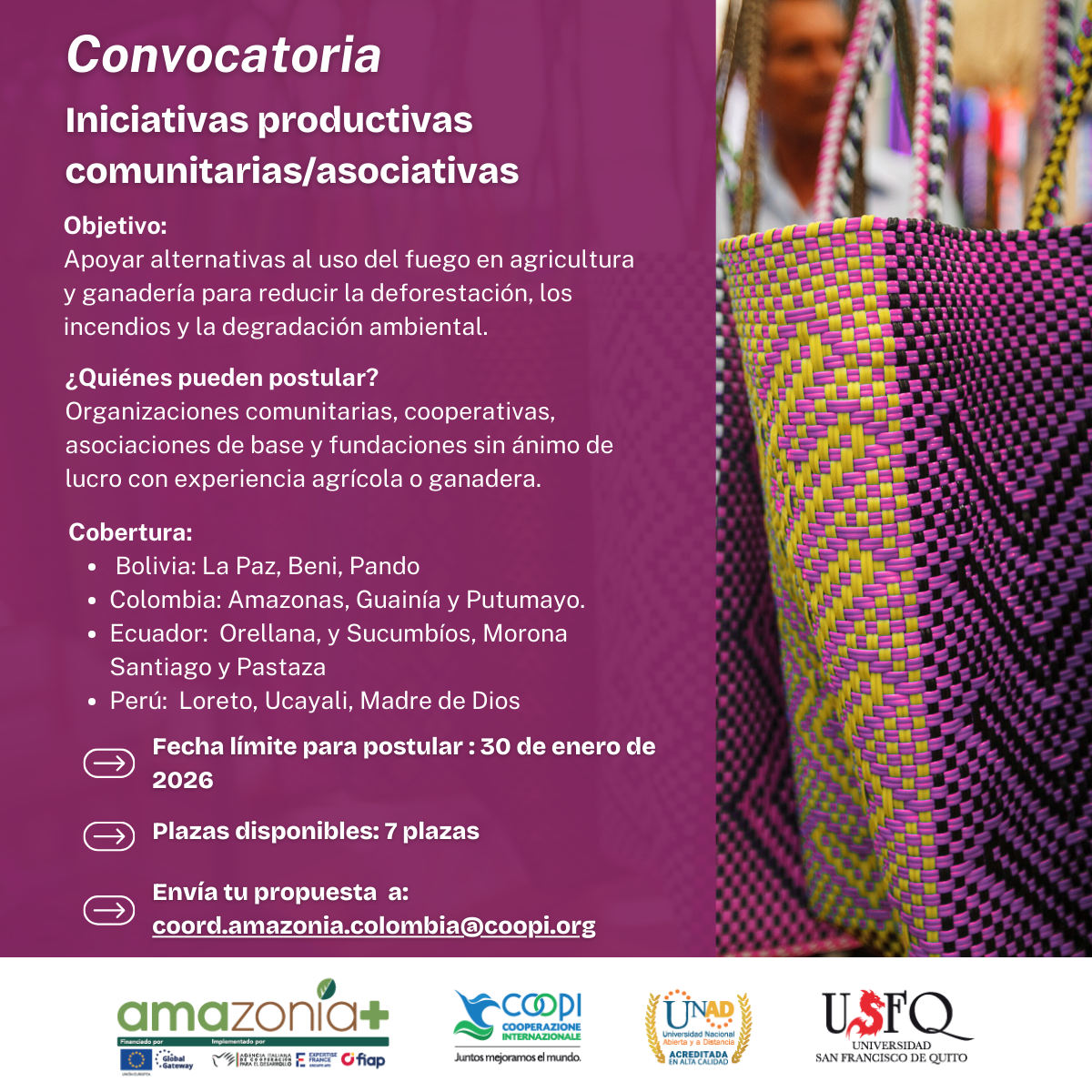 Relanzamiento de la Convocatoria – Iniciativas Productivas Comunitarias en la Amazonía